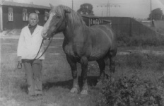 Latvijas bēglis ar zirgu